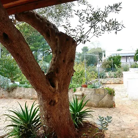 Lilla Holiday home Ostuni